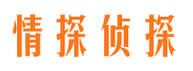 佛山外遇出轨调查取证